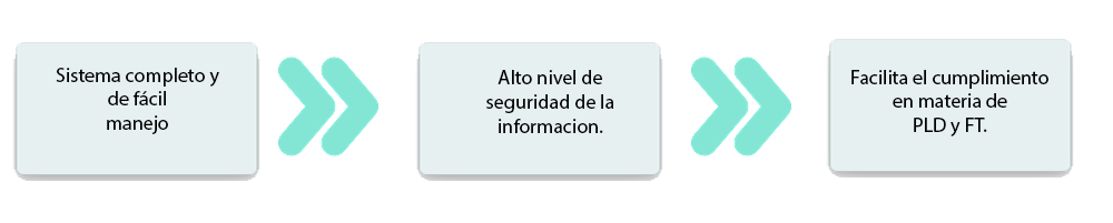 Descripción de la imagen